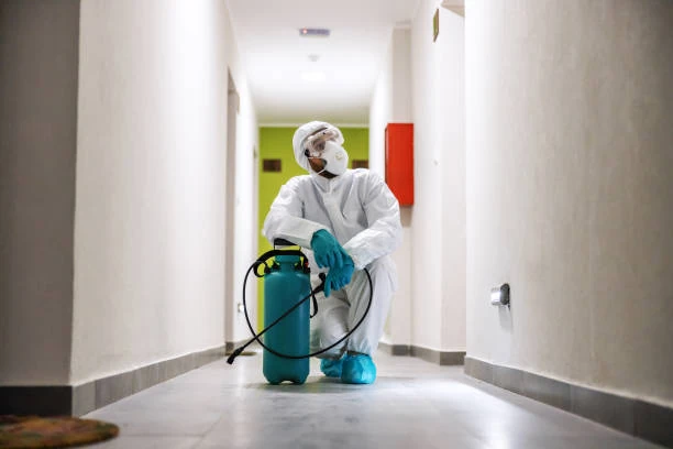 Controle de pragas e escorpião em São Paulo