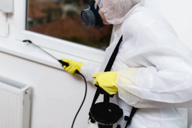 Controle de pragas e ratos em Guarulhos