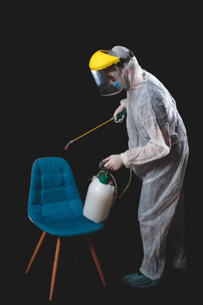 Controle de pulgas em São Paulo