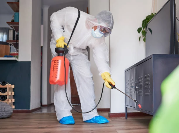 Dedetização de baratas em São Paulo