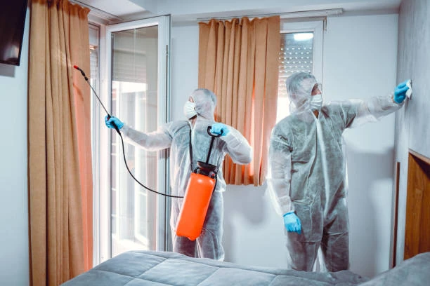 Desinsetização em Guarulhos