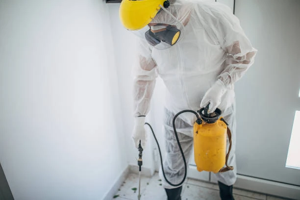 Desinsetização em São Paulo