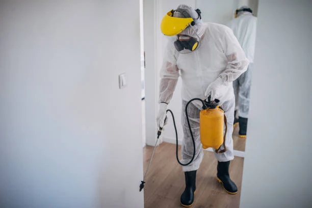 Empresa de dedetização de baratas