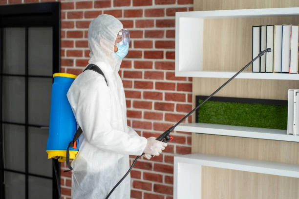 Empresa de dedetização de ratos