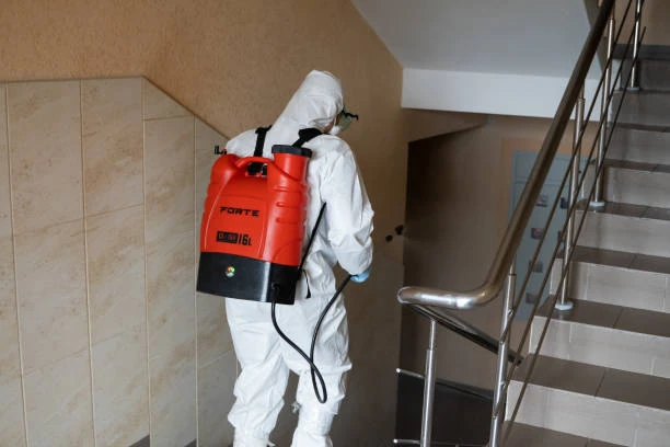 Empresas de desinfestação de baratas