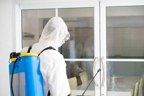 Serviço de desratização