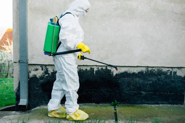 Serviço de desratização em Guarulhos